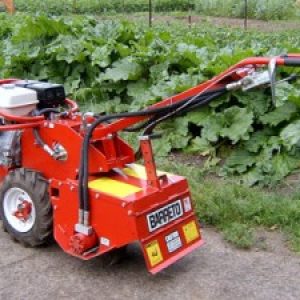 Gardening & Landscaping